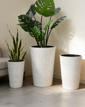 Luxury plant pots sri lanka