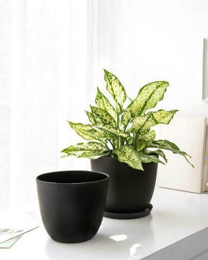 Luxury Tapered Round Plastic Planter – Matte Black