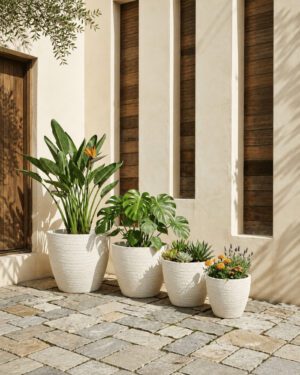 gallery-white-round-planters-outdoor Luxury white round planters styled on a sunlit modern patio