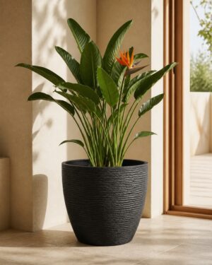 Luxury Stone Textured Round Planter – Black