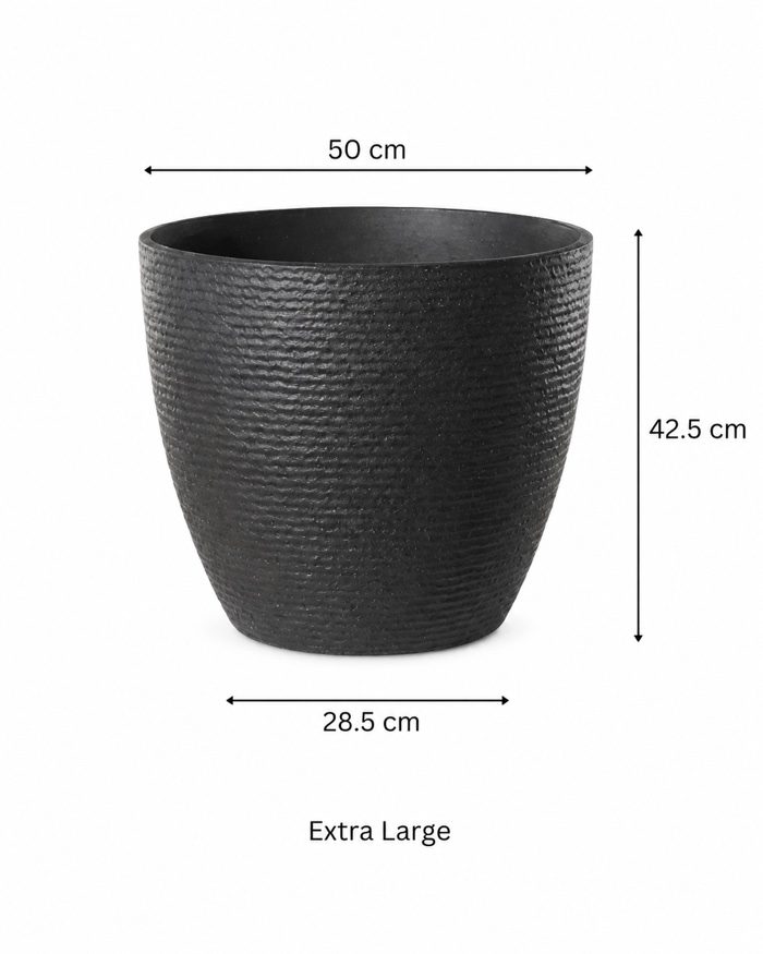 TAF004B-extra-large TAF004B-extra-large
