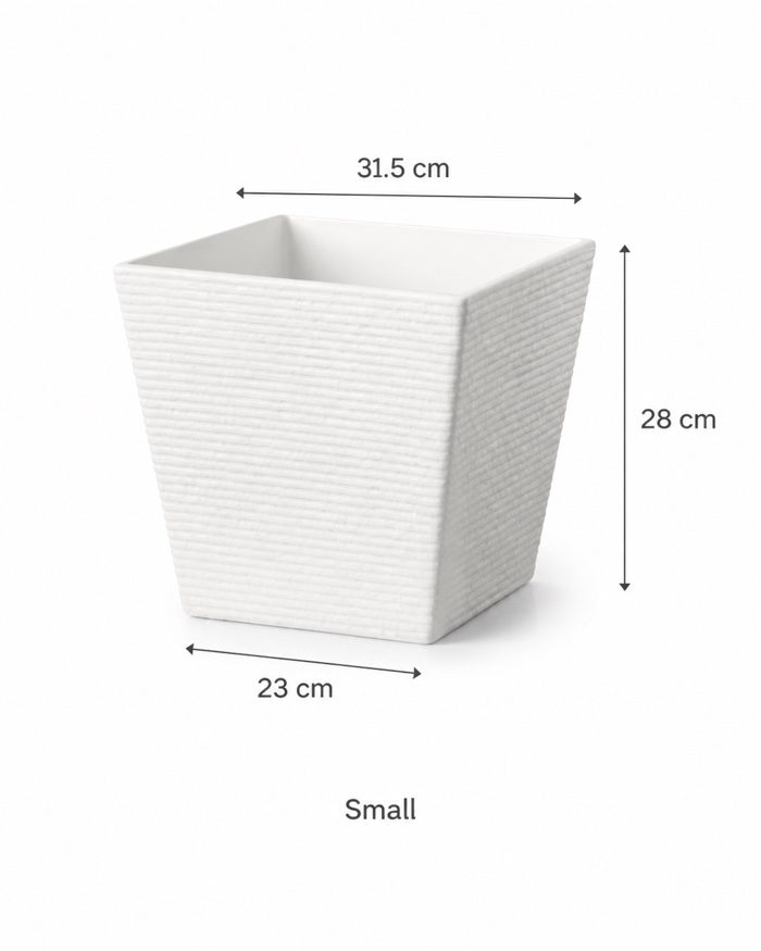 TAF009A-small TAF009A-small