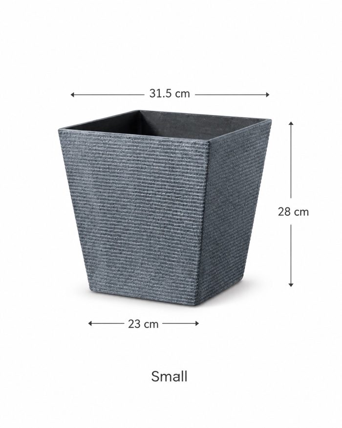TAF009C-small TAF009C-small