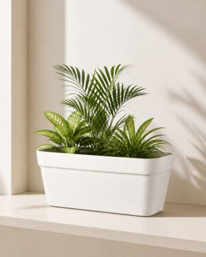 White stone textured rectangular planter with architectural greenery