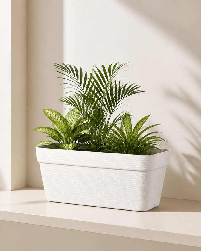 TAF012A-hero White stone textured rectangular planter with architectural greenery