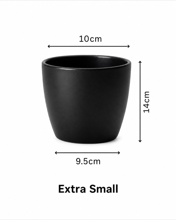 TAF013B-extra-small TAF013B-extra-small