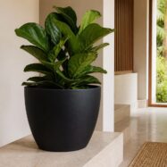 Black minimalist tapered round planter styled in a luxury interior