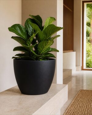 Black minimalist tapered round planter styled in a luxury interior