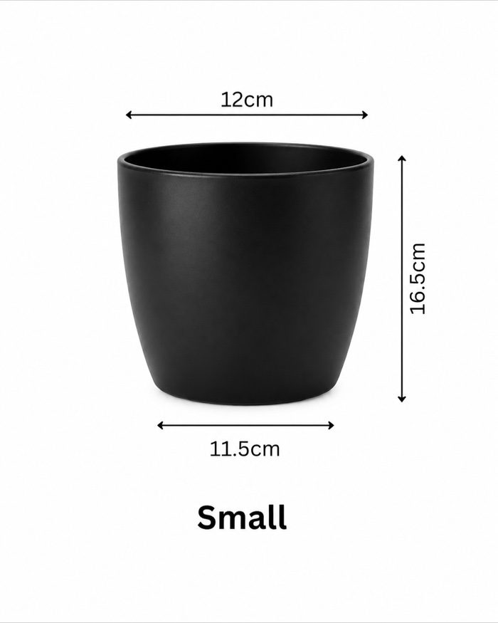 TAF014B-small TAF014B-small