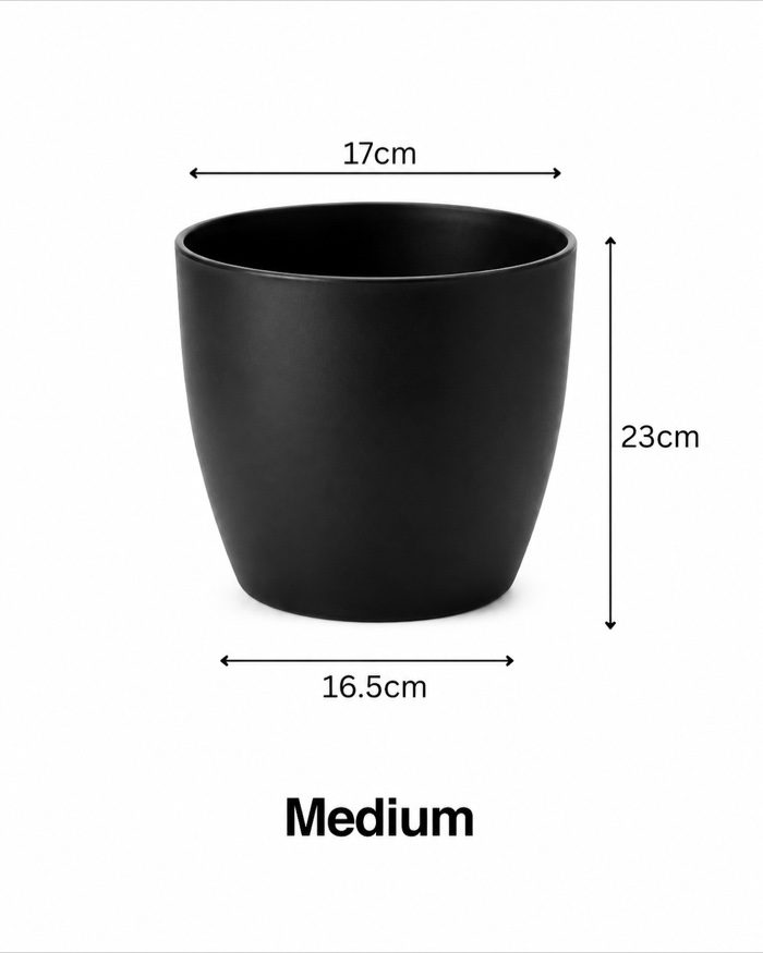TAF015B-medium TAF015B-medium