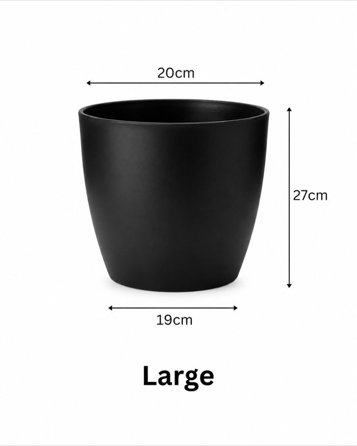 TAF016B-large TAF016B-large