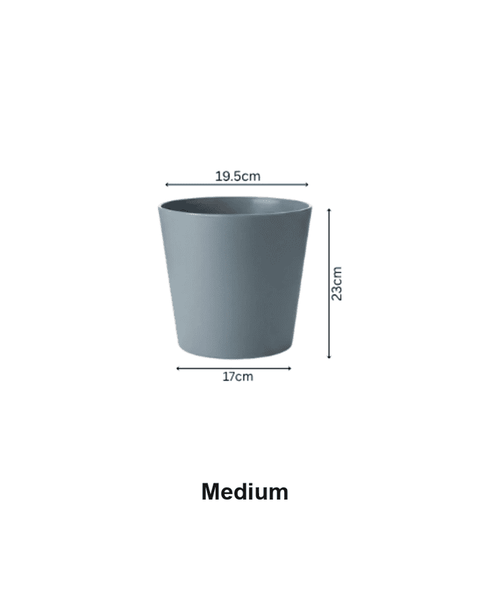 TAF019C-blue-gray-medium-4x5 TAF019C-blue-gray-medium-4x5