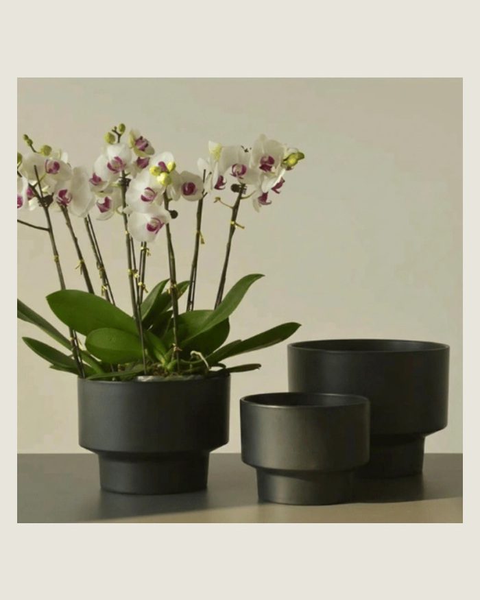 TAF023B-lifestyle Black mini classic round planters styled with orchids