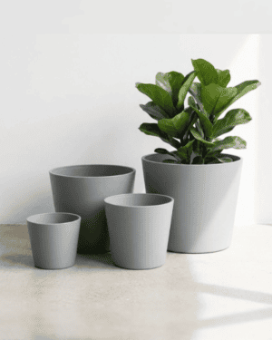 Minimalist Mini Wide Rim Round Plastic Planter – Blue Gray