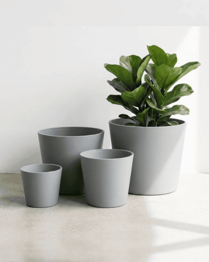 featured-blue-gray-wide-rim-planter-4x5 featured-blue-gray-wide-rim-planter-4x5