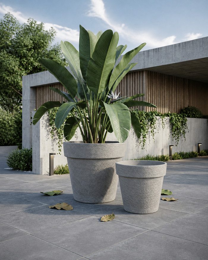 featured-jumbo-stone-textured-round-planter-light-gray Jumbo and Super Jumbo light gray stone textured round planters outside a modern residence