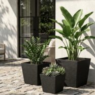 gallery-black-square-planters-courtyard