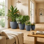 Blue gray round planters in a modern living room