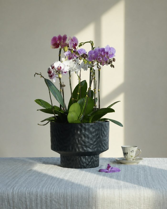 gallery-hammered-black-orchid-planter-v2 Black hammered round planter with orchid