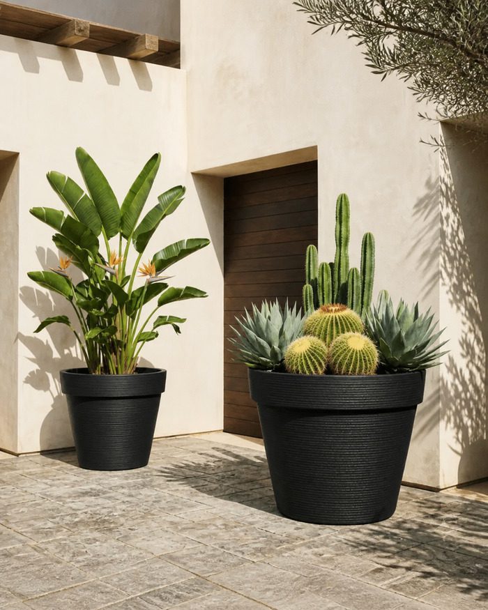 gallery-jumbo-black-planters-sunlit-patio Black jumbo stone textured planters on a sunlit patio