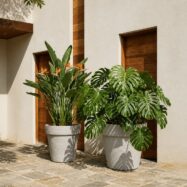 Jumbo light gray stone textured planters styled with tropical plants on a luxury patio